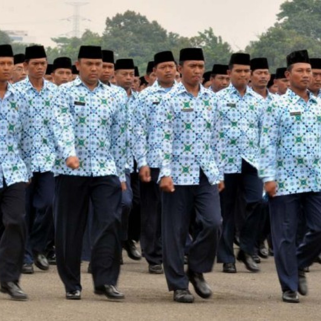 Pegawai Negeri Sipil PNS