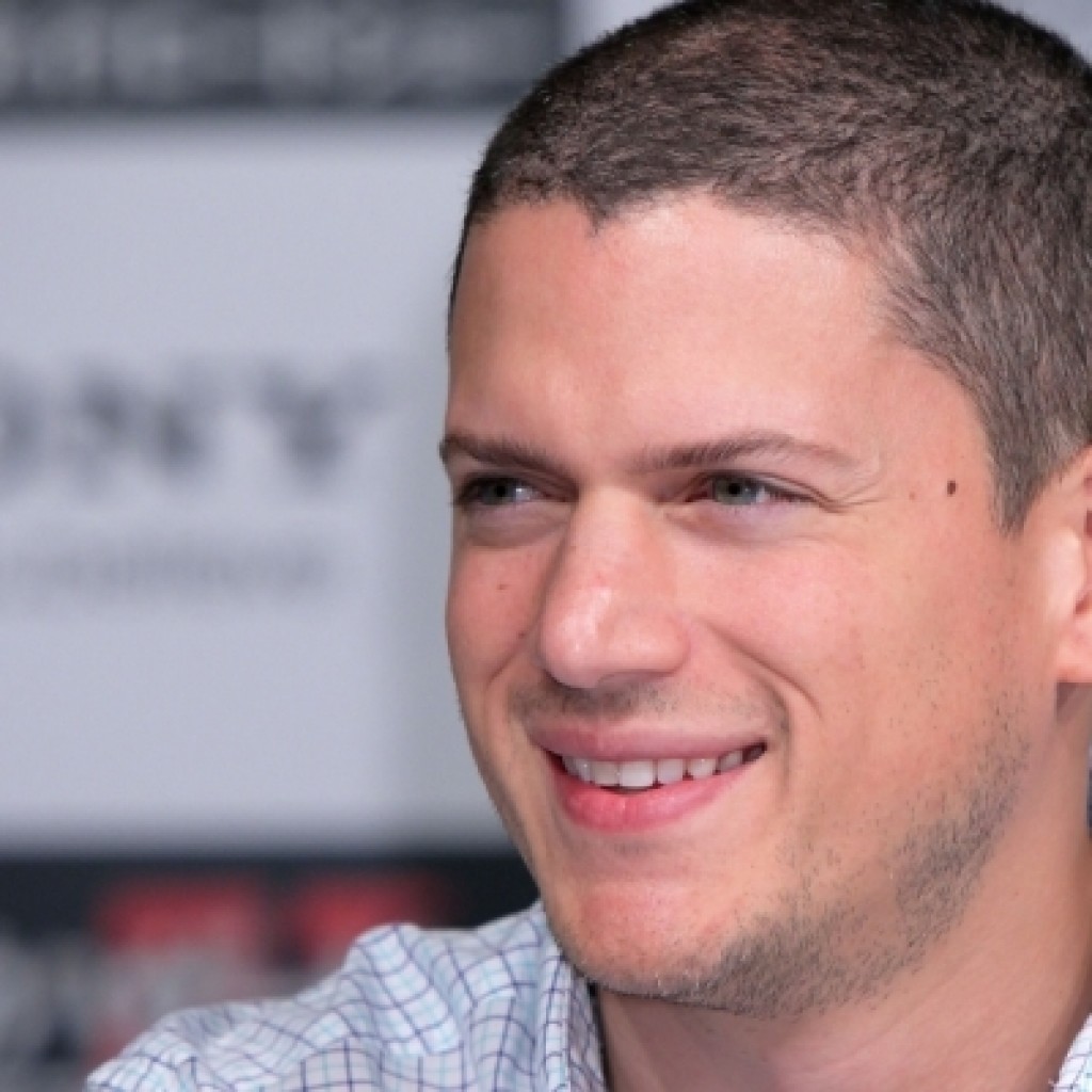 Wentworth Miller Gay