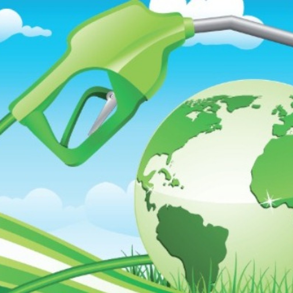 APEC Biodiesel Fuel