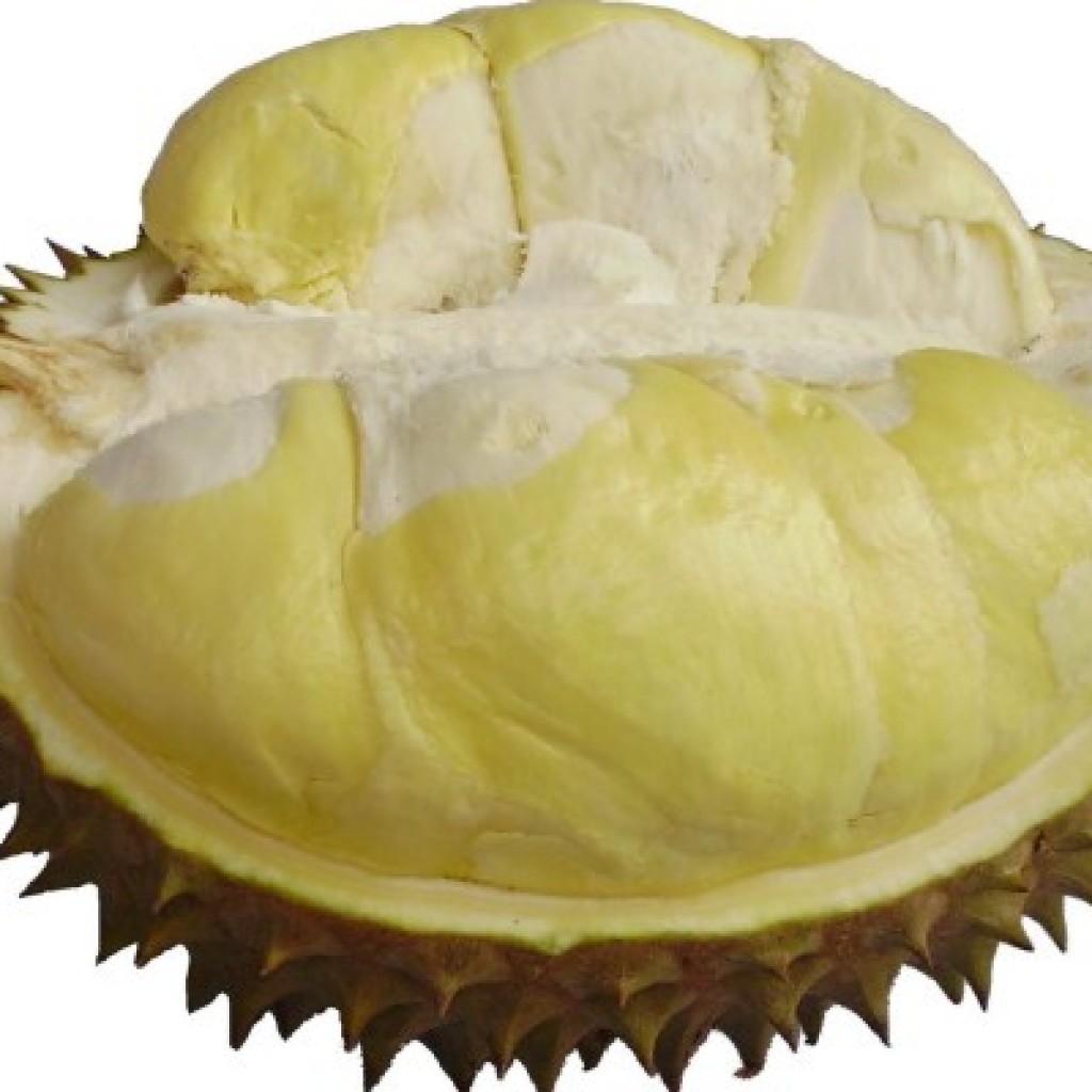 durian