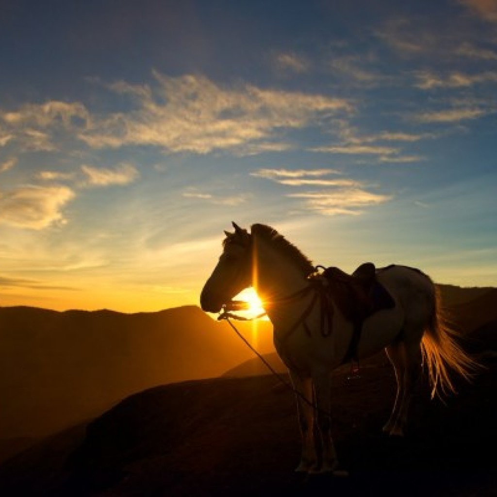 gunung bromo