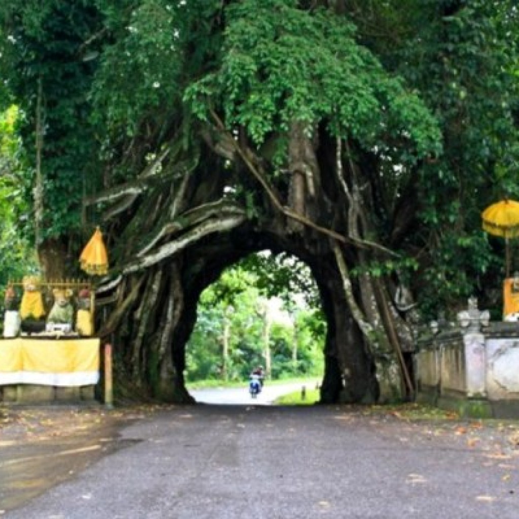 lorong bolong