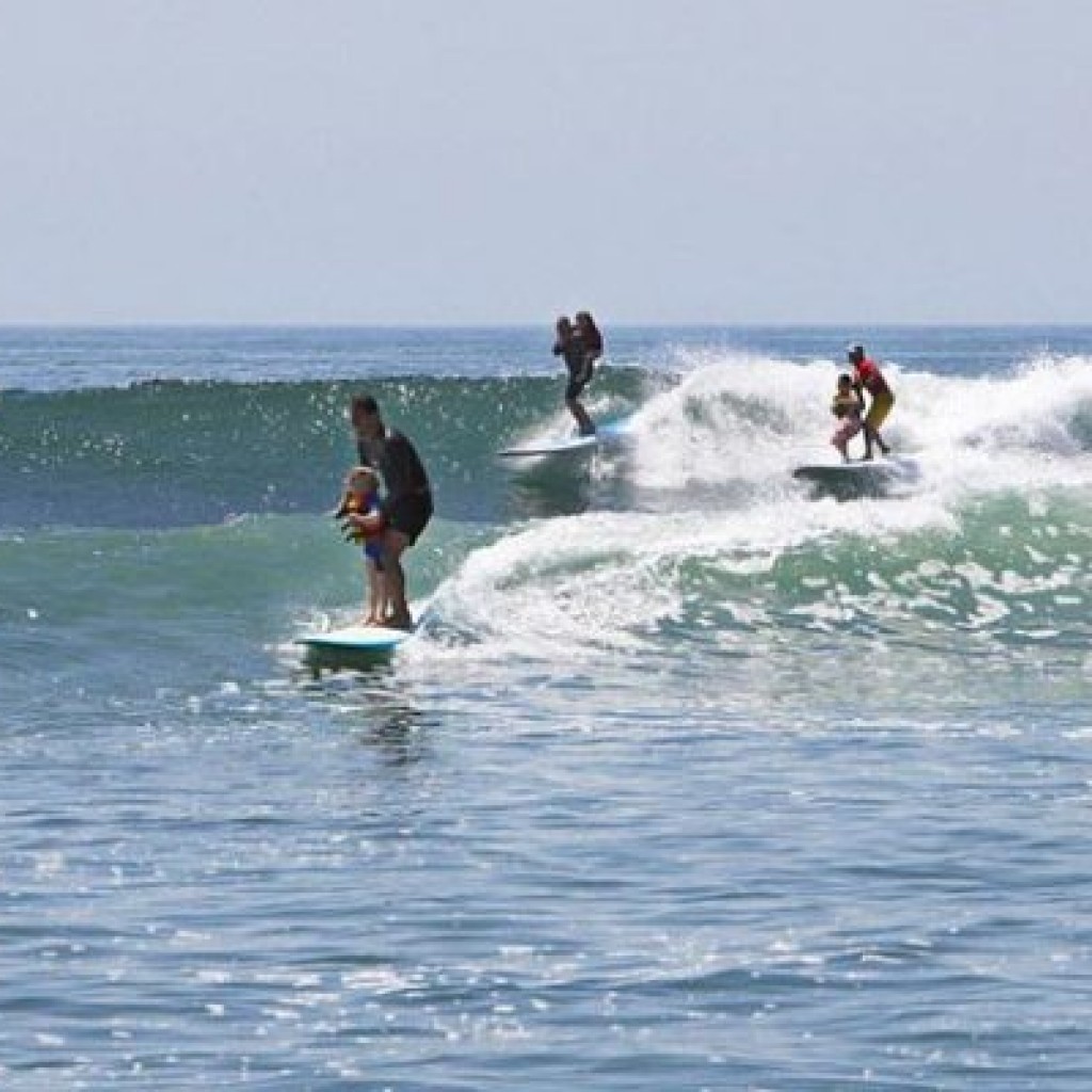 maluk surf