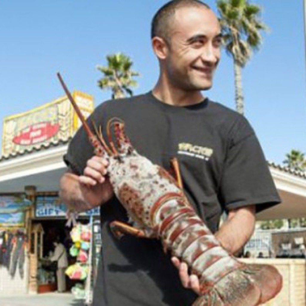 Joseph Ali Giant Lobster