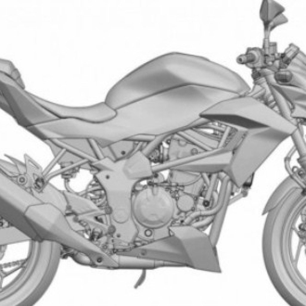 kawasaki rr naked