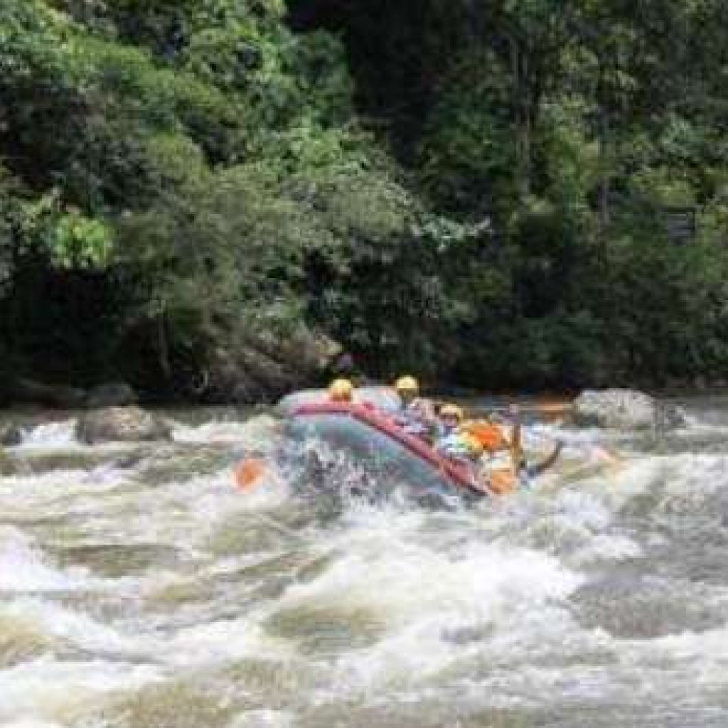 TN gunug leuser