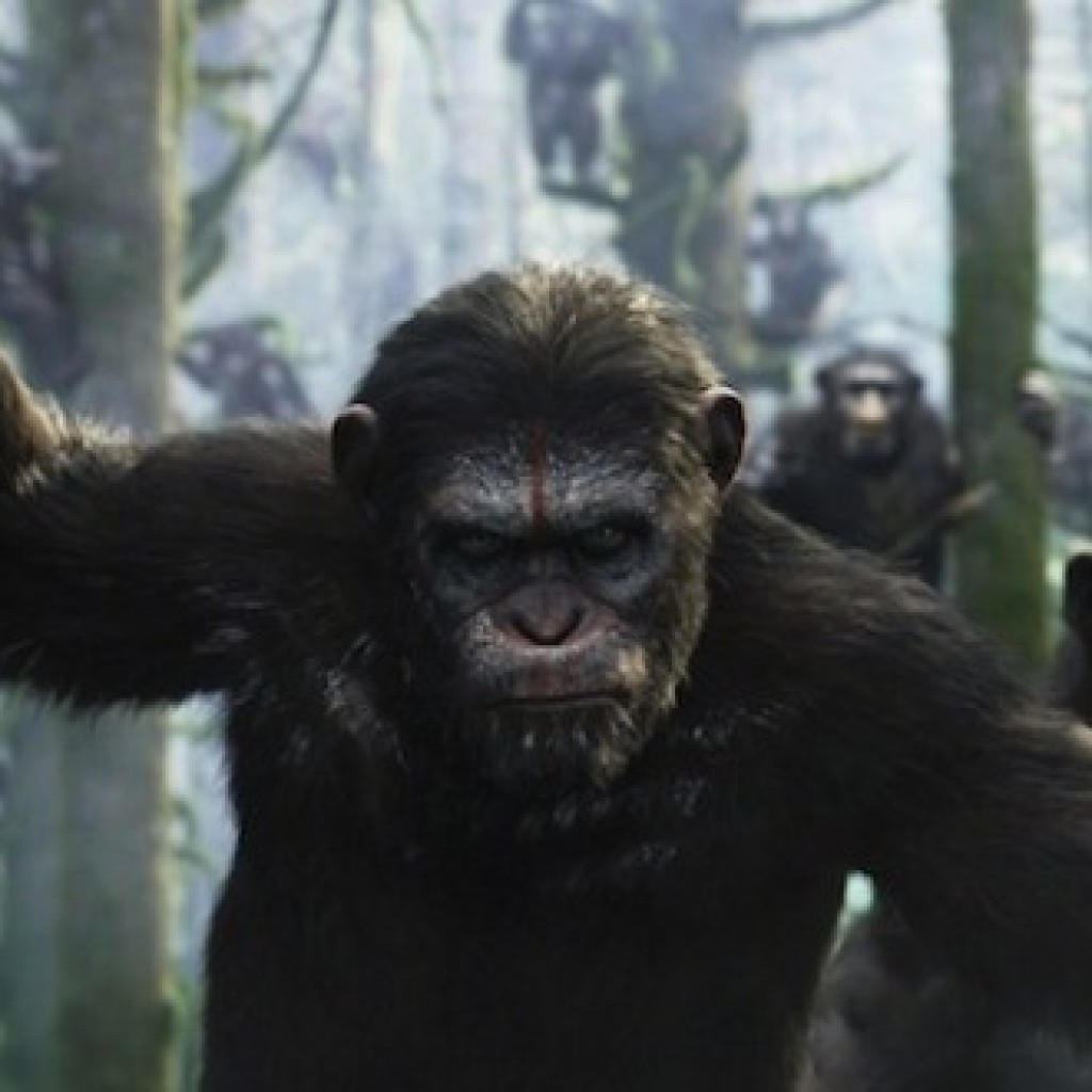 Dawn Of The Planet Of The Apes