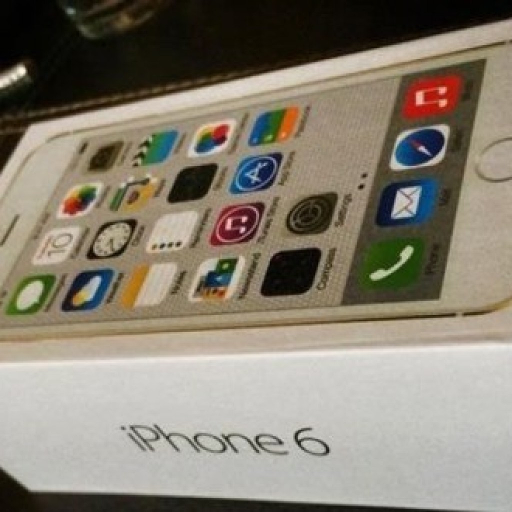 iPhone 6 Box