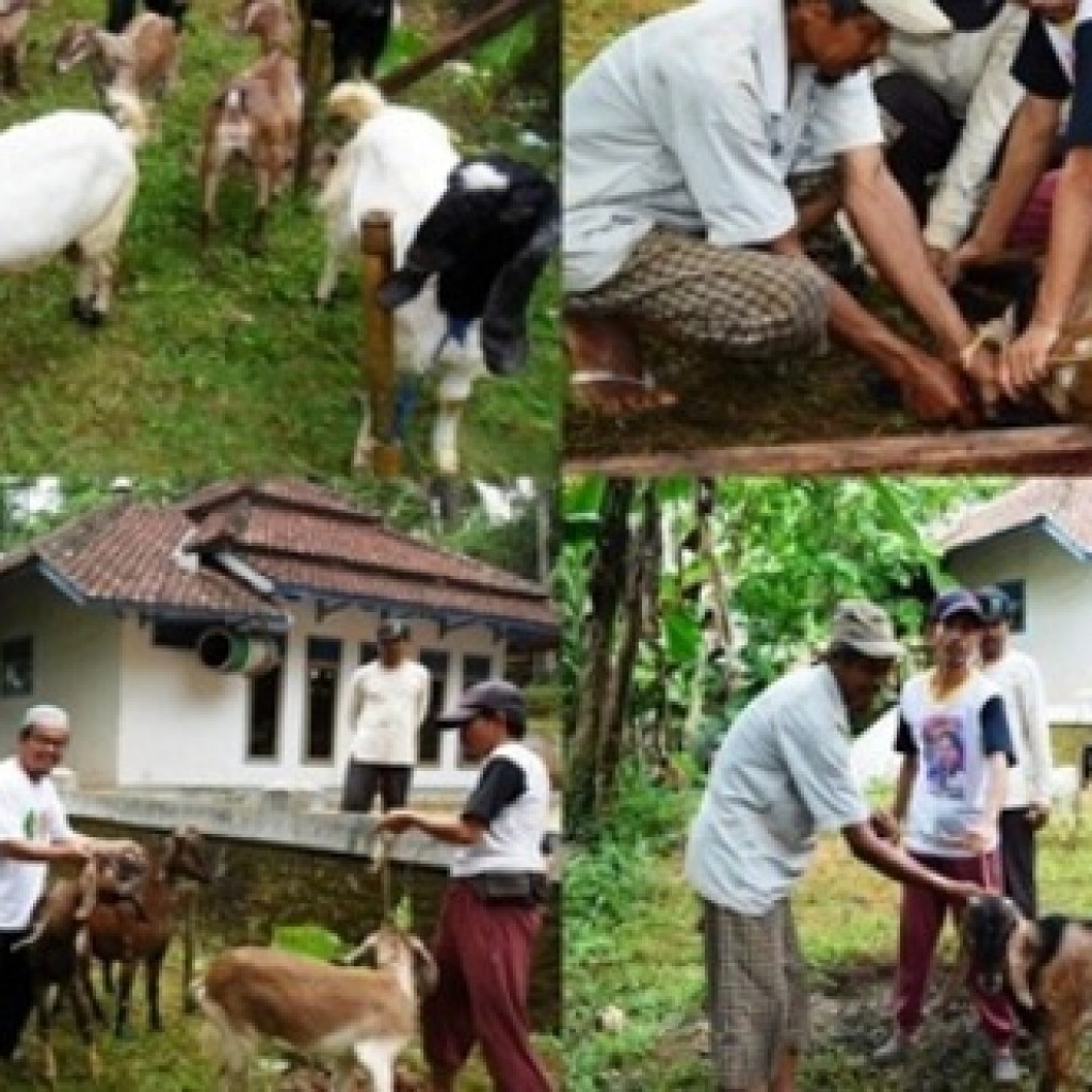 Idul Adha di Cisontrol