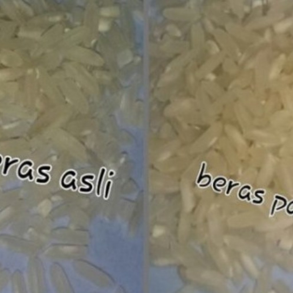 Kasus temuan beras plastik palsu