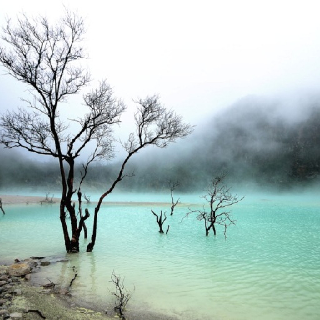 Tempat Wisata di Bandung Kawah Putih Ciwidey