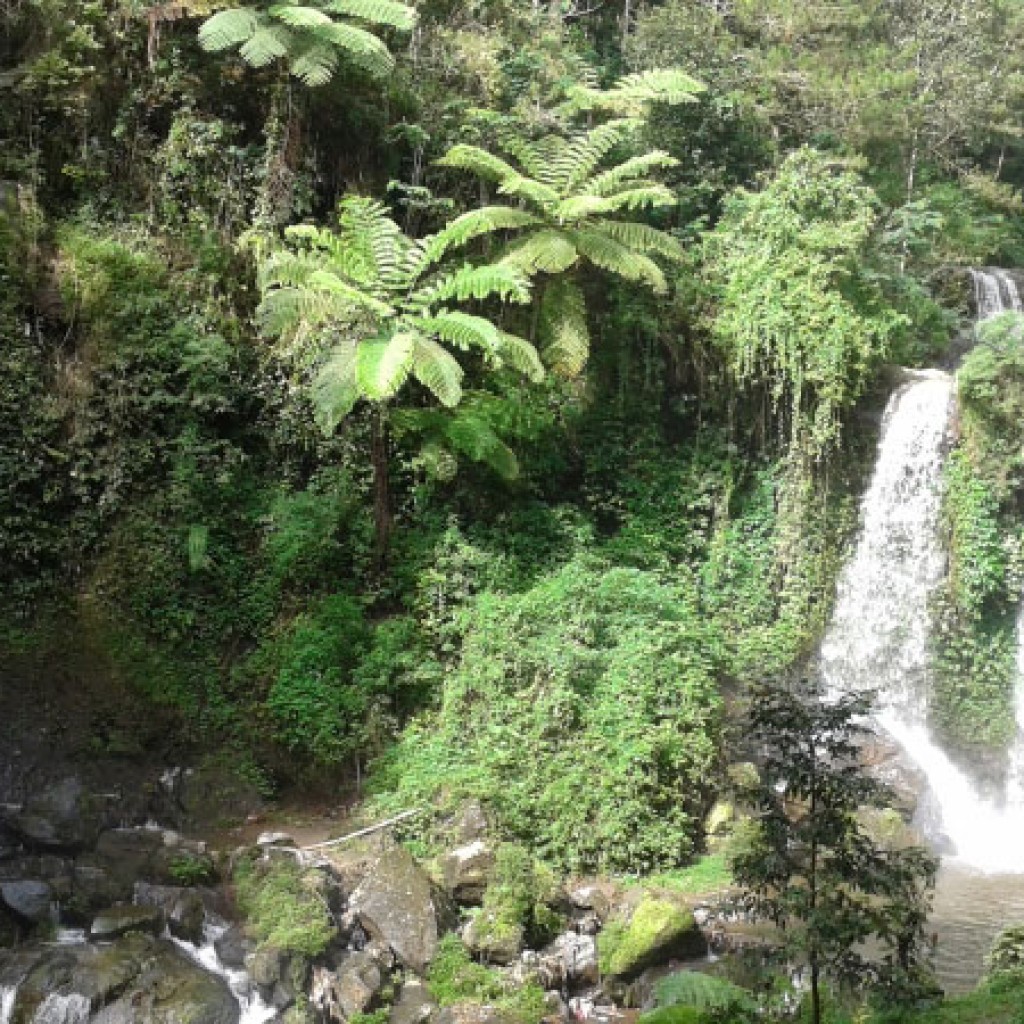 Air Terjun Grenjengan di Pacet Mojokerto