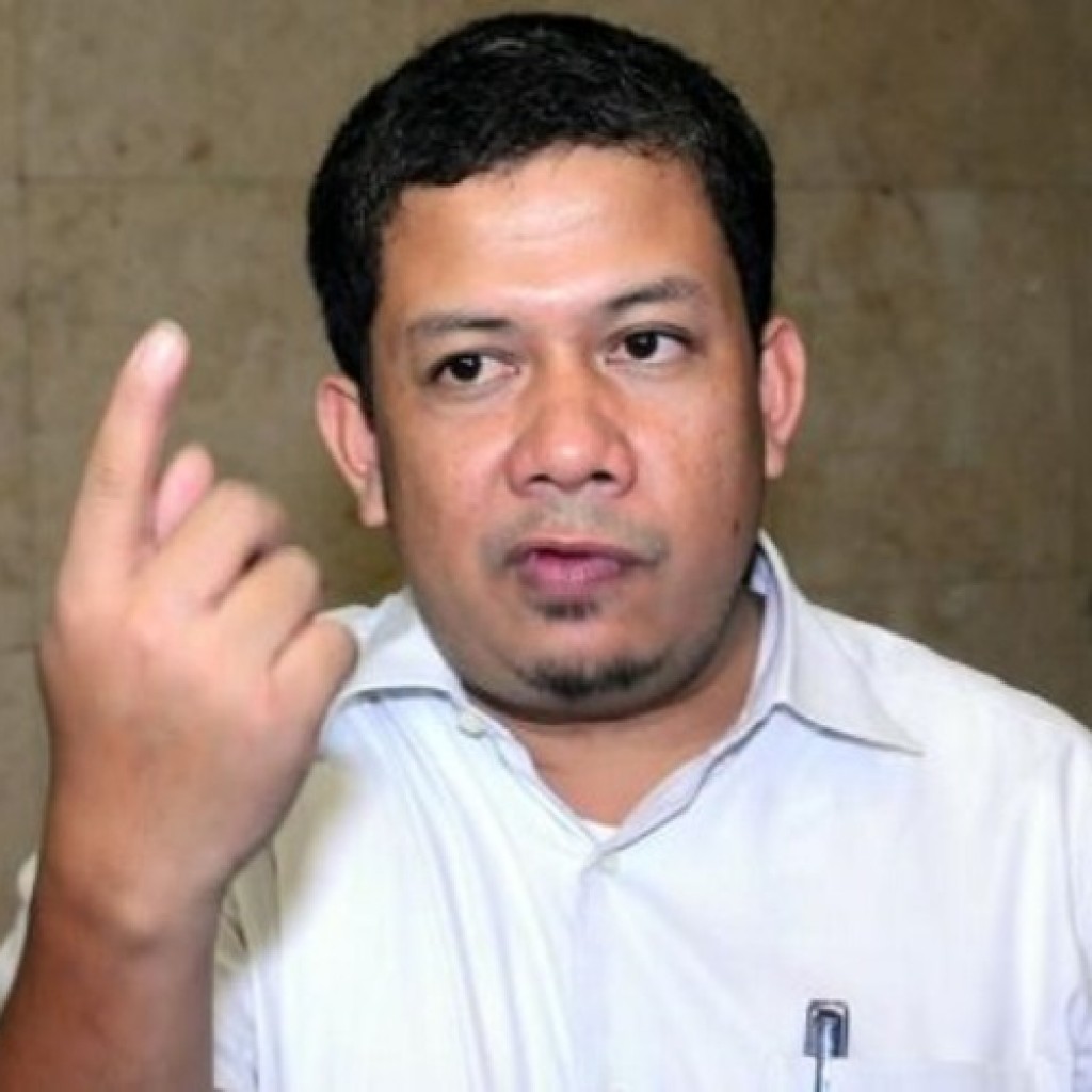 Fahri Hamzah