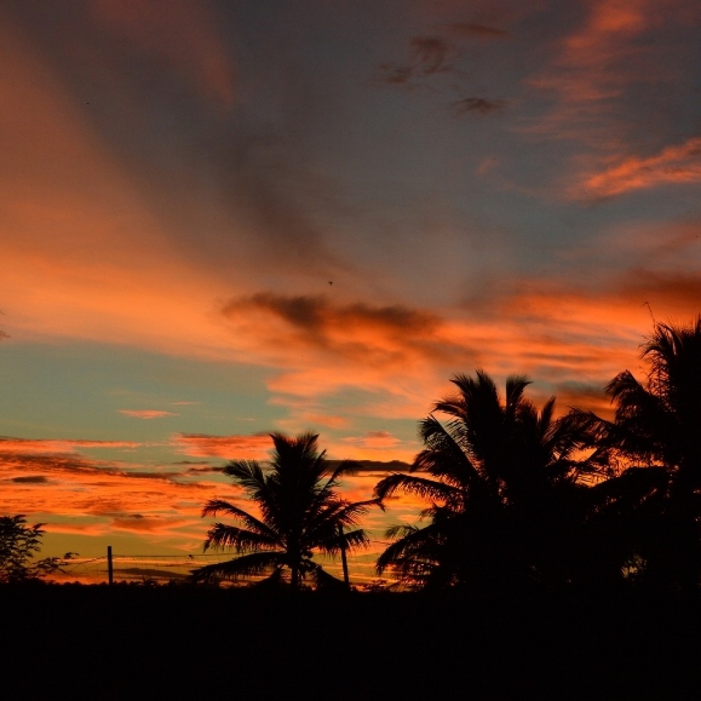 Sunset Fotografi