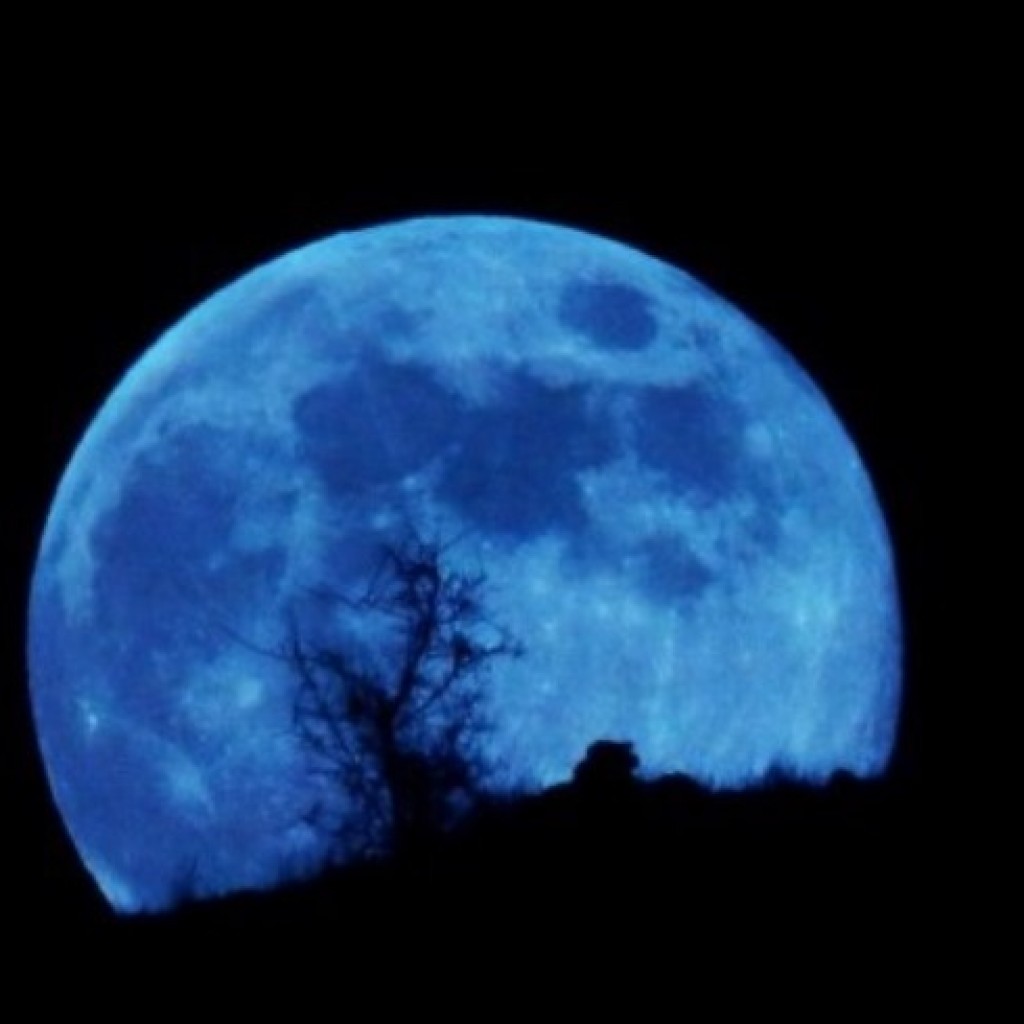 Ilustrasi Blue Moon