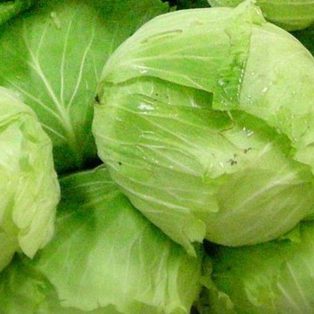 Makanan Anti Kanker Yang Harus Ada Di Menu Diet Anda