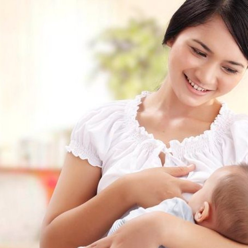 Manfaat Daun Kelor Untuk Ibu Menyusui