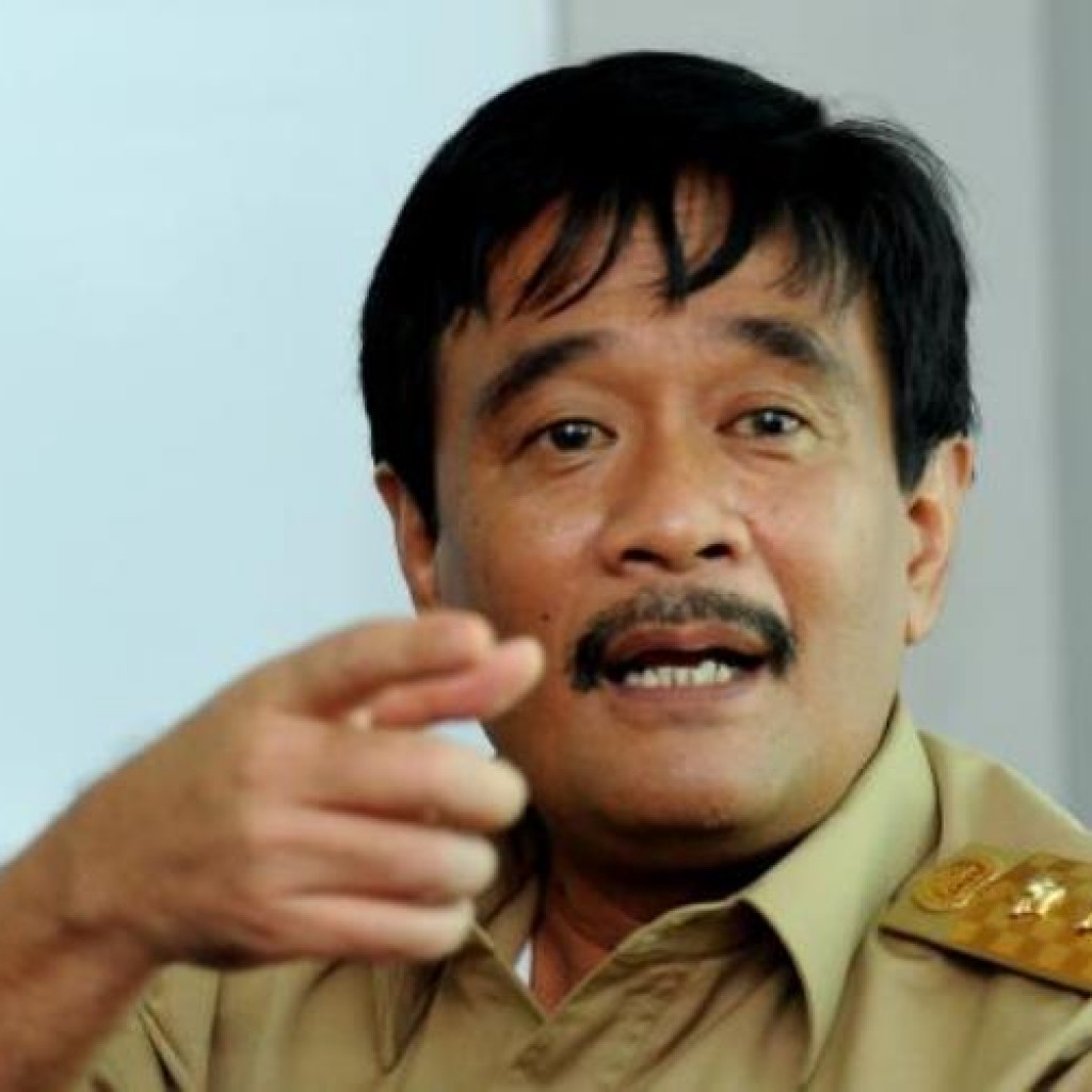 Wagub DKI Djarot