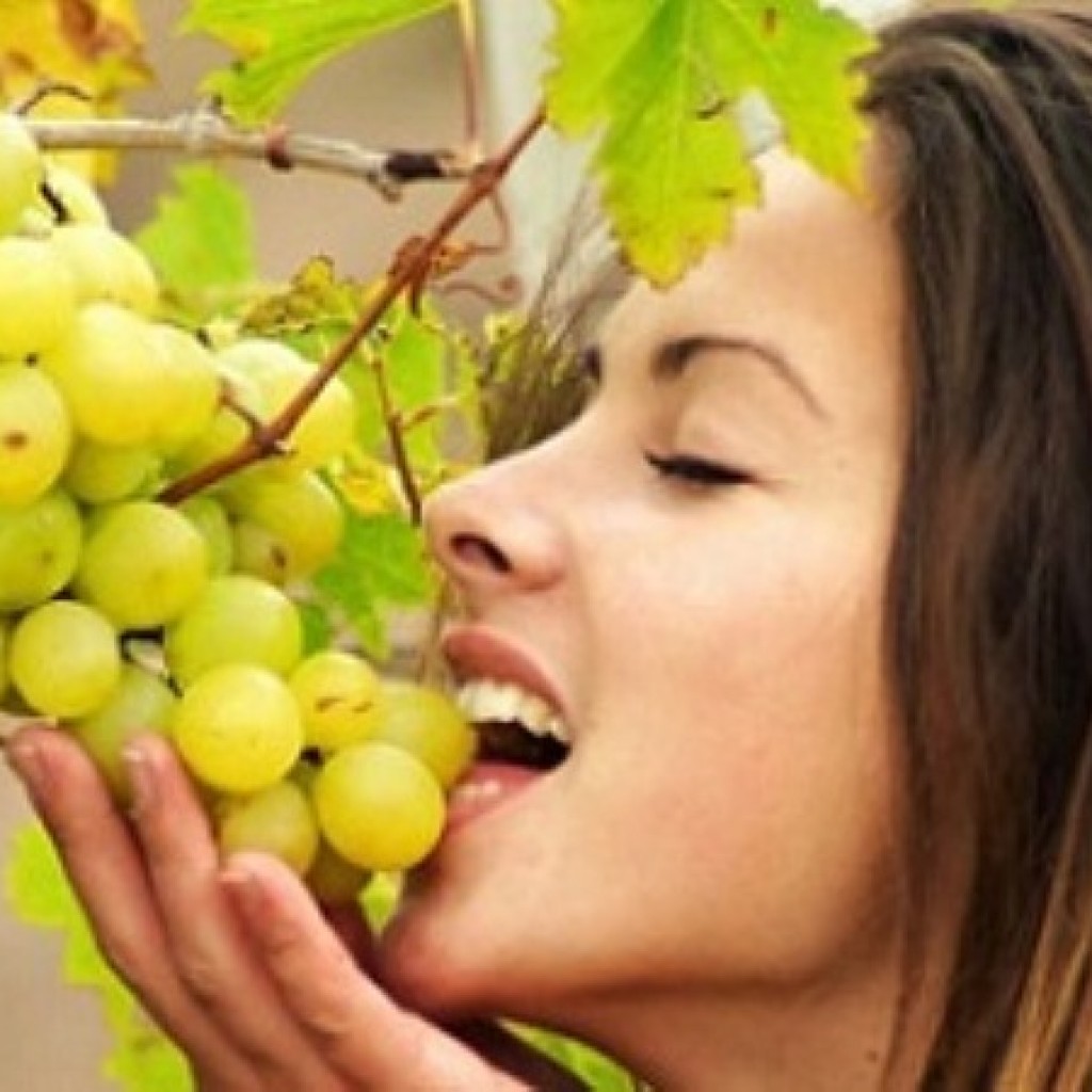 Manfaat Buah Anggur Untuk Kesehatan