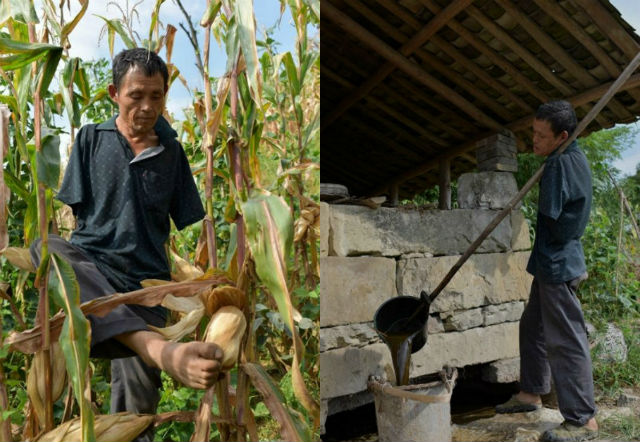 Mengharukan, Petani Difabel Ini Suapi Ibunya Yang Sakit dengan Mulut