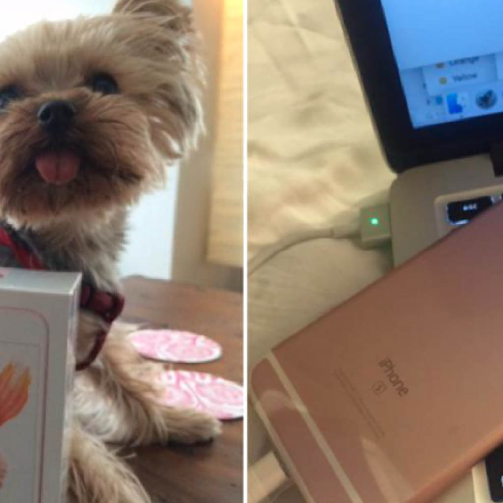 Apple iPhone 6s Rose Gold1