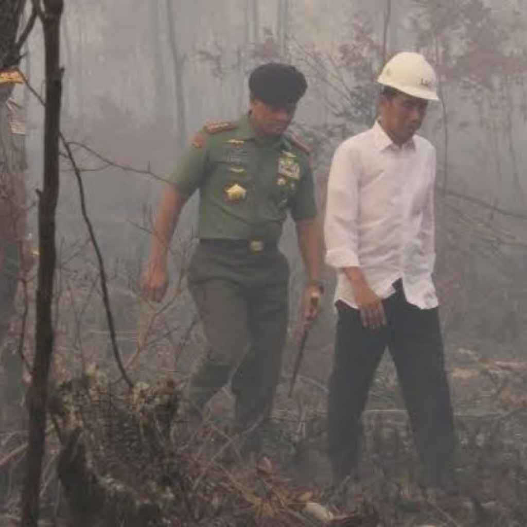 Presiden Jokowi memantau bencana kebakaran hutan dan kabut asap