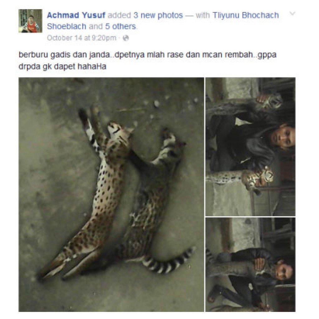 Achmad Yusuf dan Kucing Hutan
