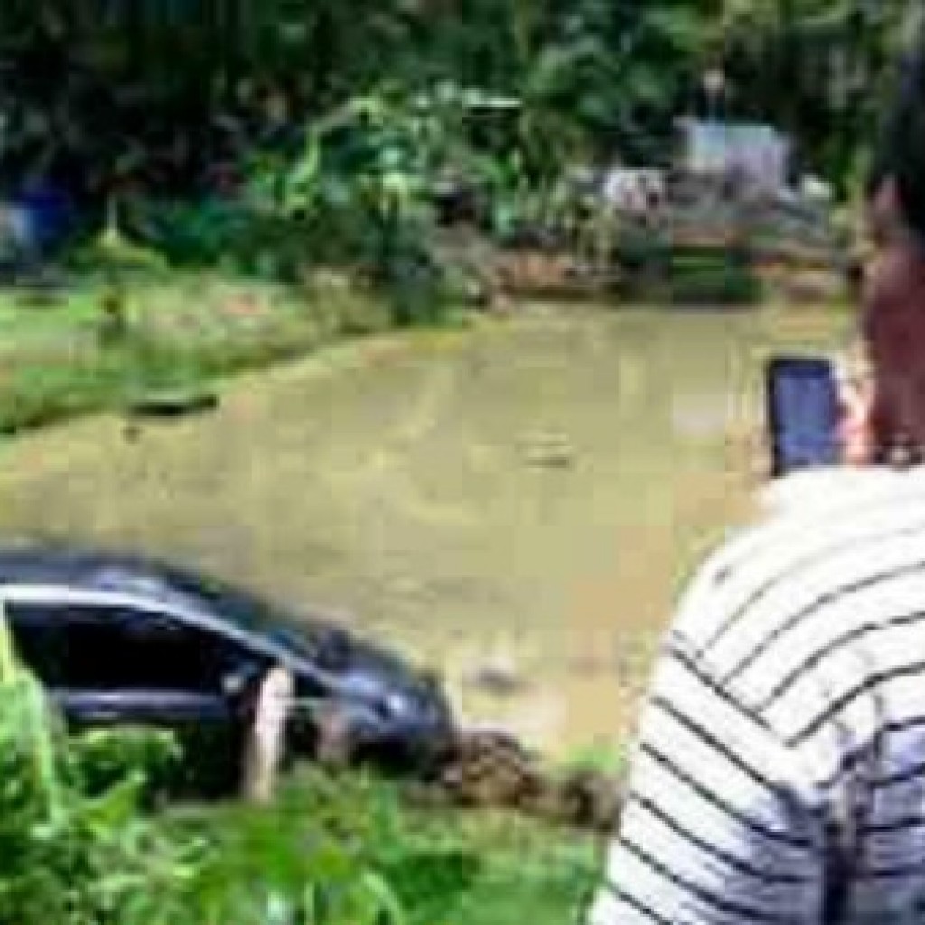 Honda Jazz Nyemplung ke Kolam