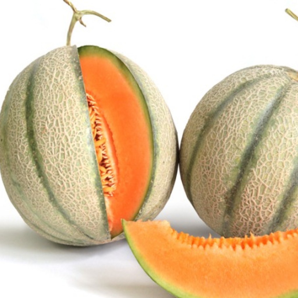Melon Buah Segar Dengan Sejuta Manfaat