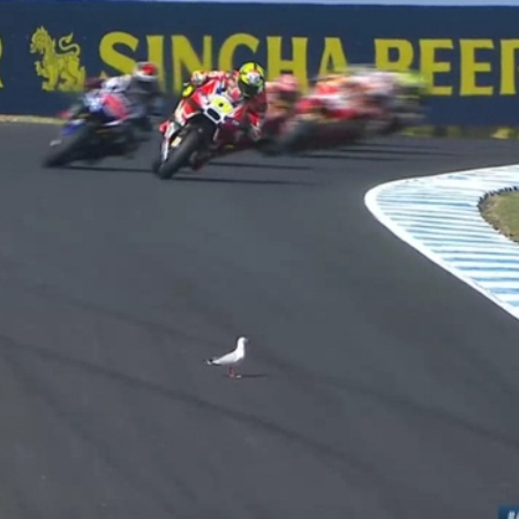 MotoGP Australia 2015