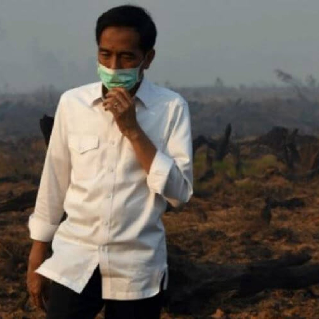 Presiden Jokowi pantau bencana kebakaran hutan