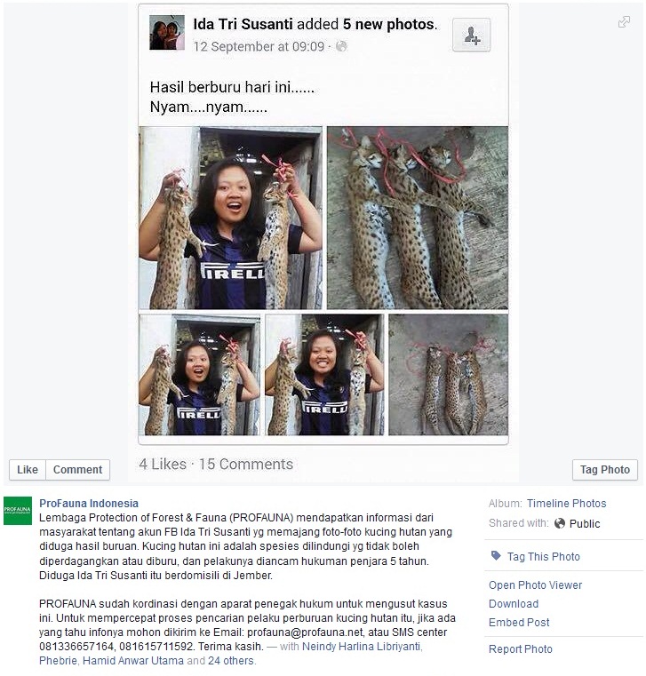 Setelah Facebook Ida Tri Susanti, Giliran Pria Ini Pamer Kucing Hutan