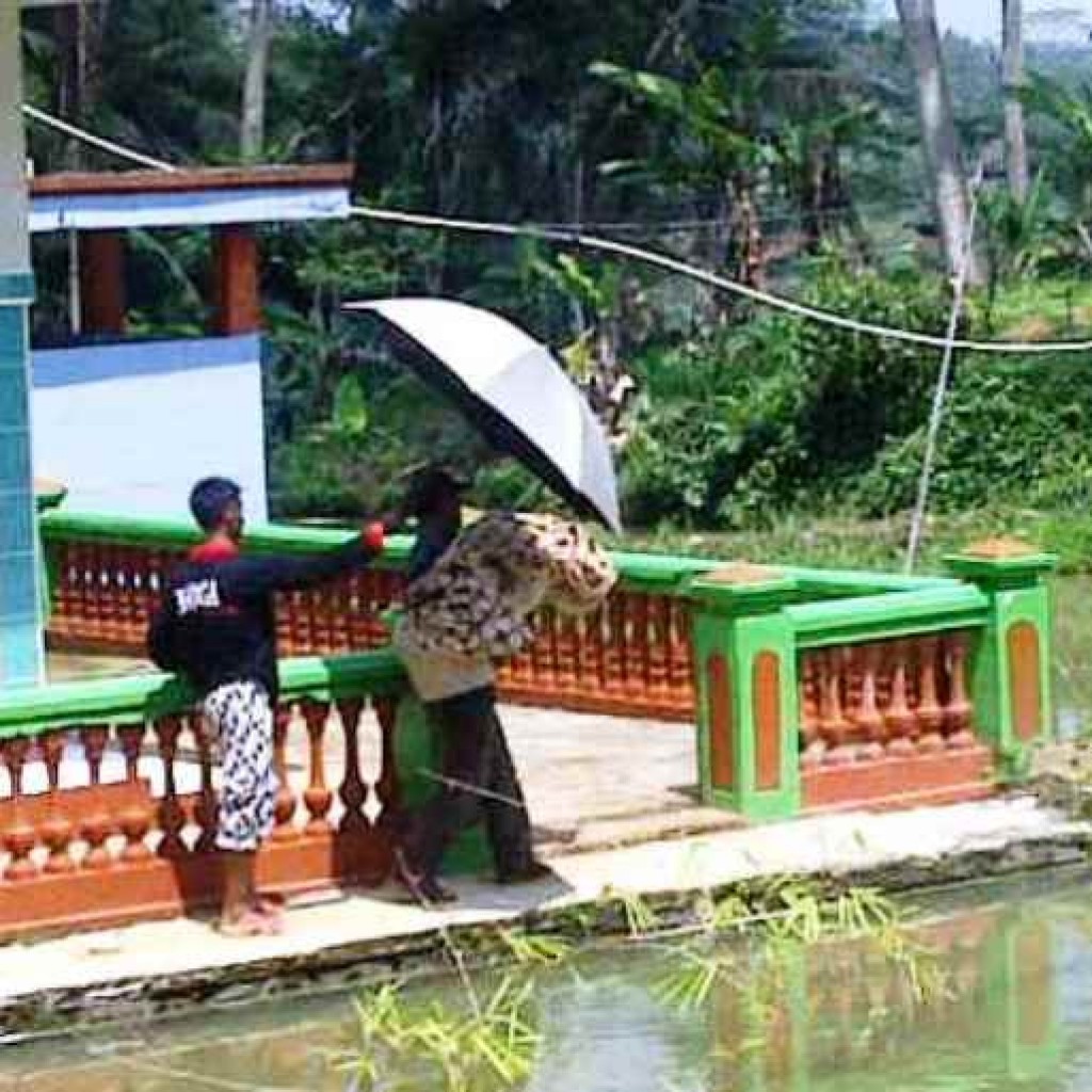 Bayi Terjun ke Sumur di Cipaku