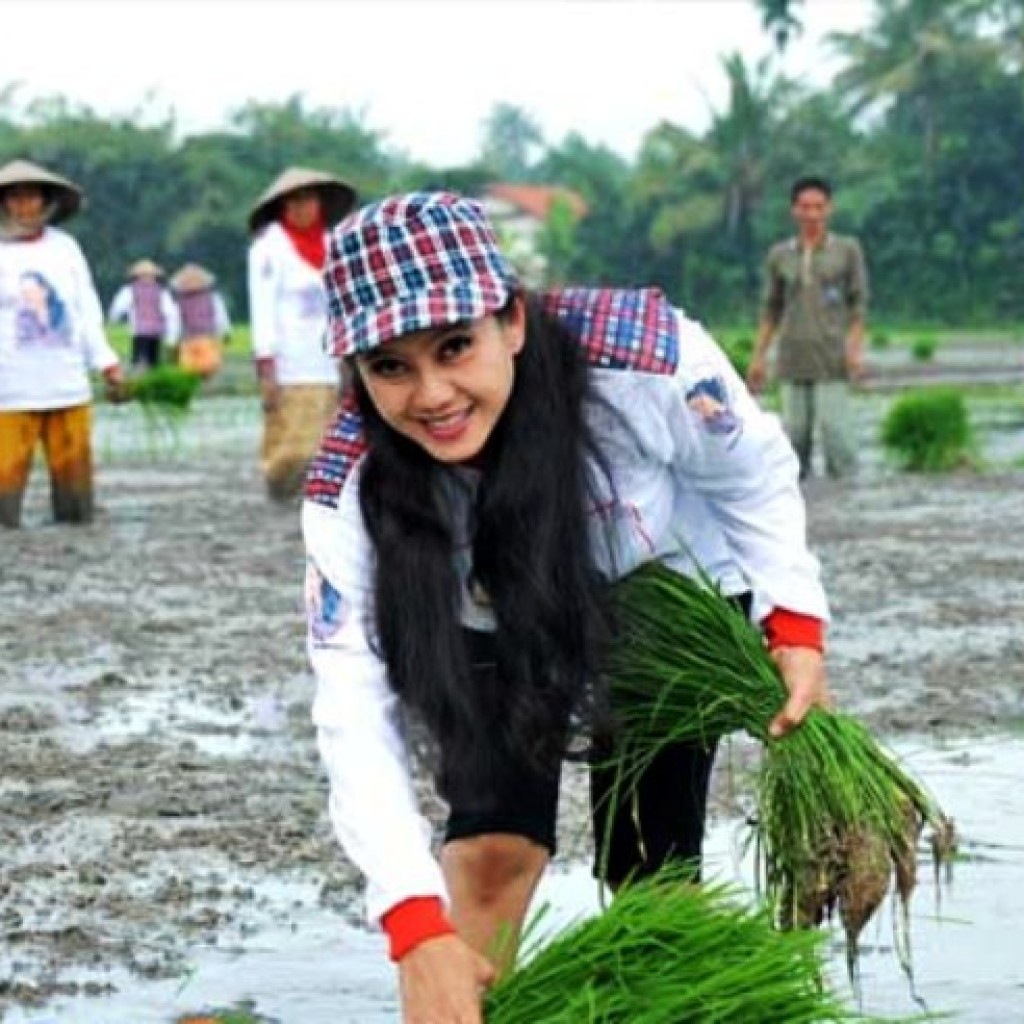 Damayanti Wisnu Putranti