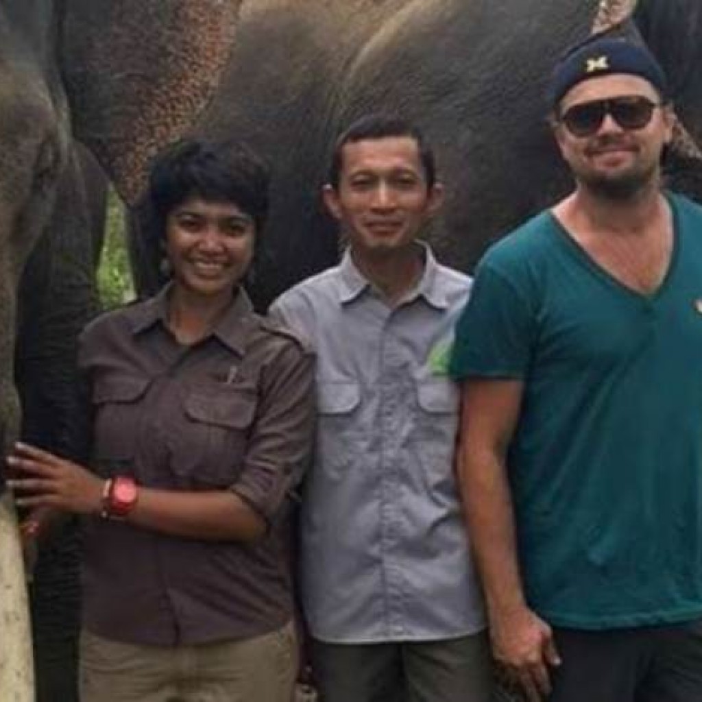 Garap Film Dokumenter Leonardo DiCaprio Taman Nasional Gunung Leuser