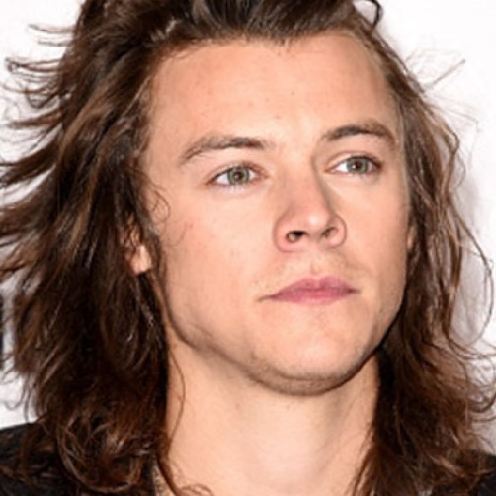 Sukses Bernyanyi Harry Styles Ditawari Main Film