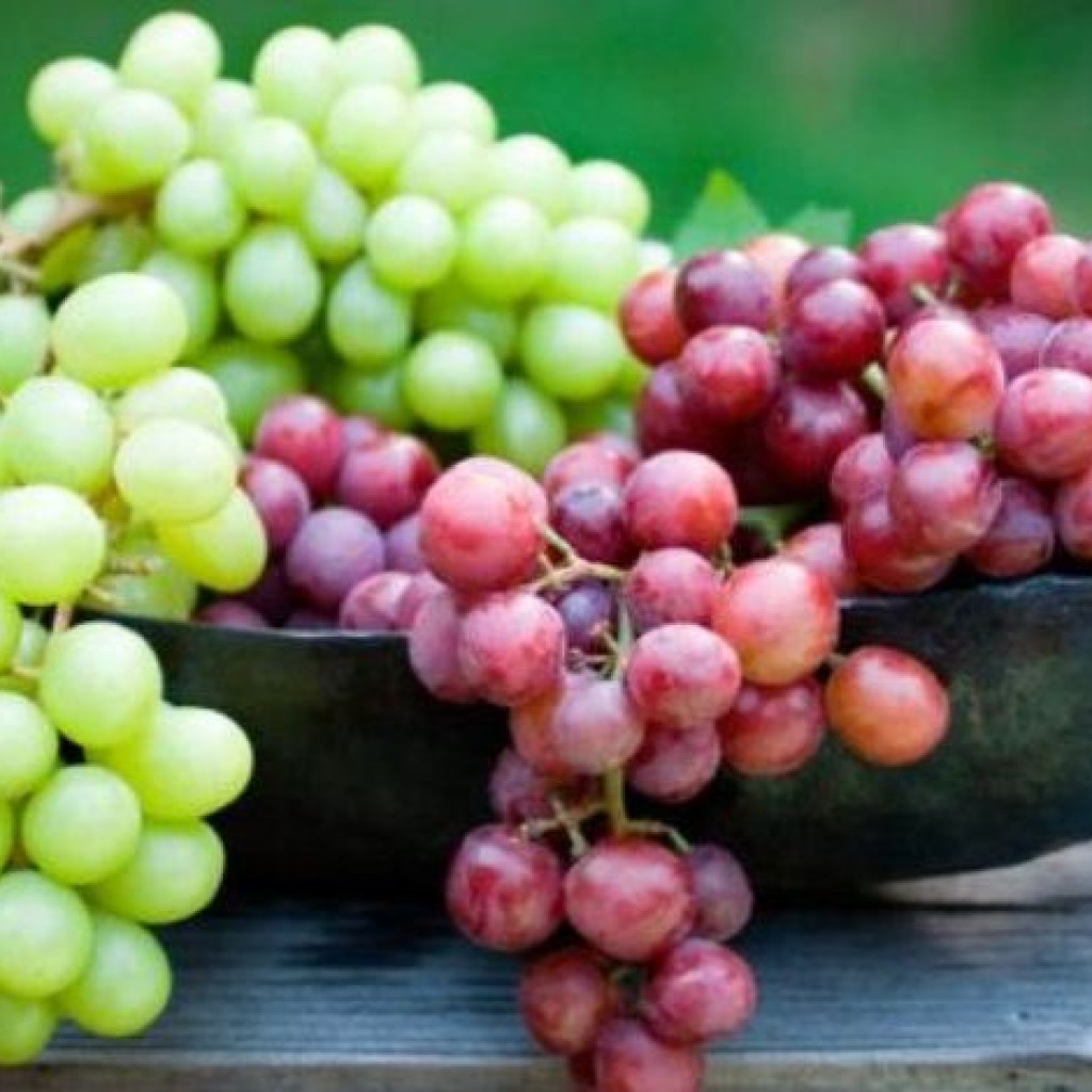 benefits of grapes