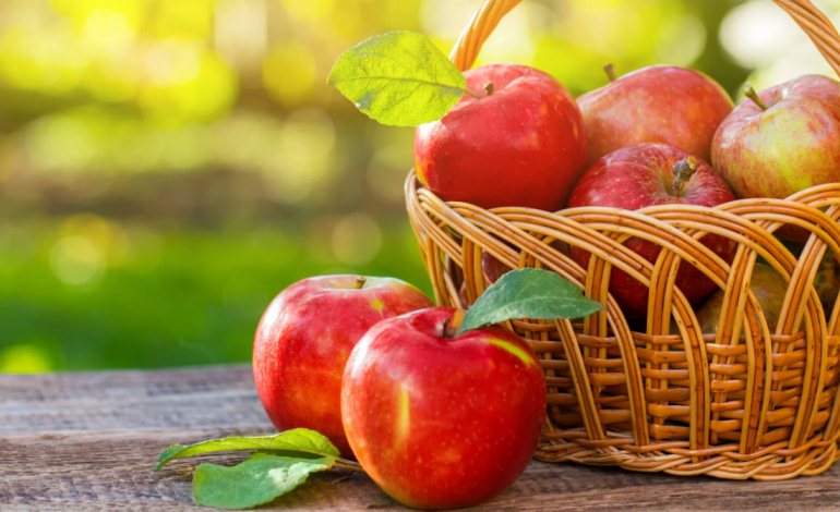10 Things To eat To Avoid Heat Strokes