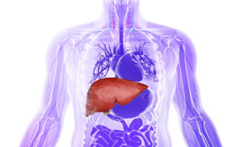 9 Things That Are Bad For Your Liver