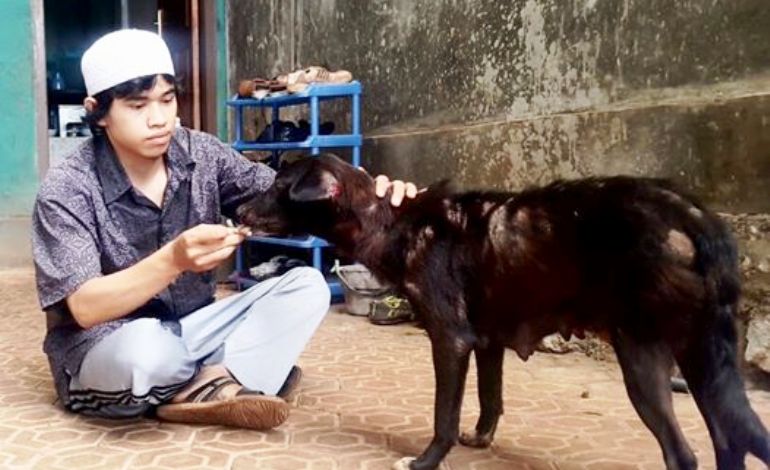 Santri Memberi Makan Anjing