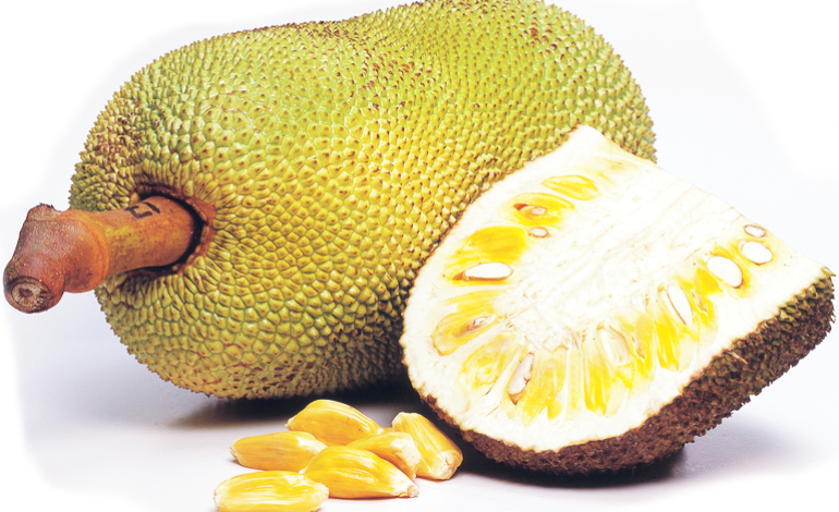 Ways Jackfruit Heals Your Skin
