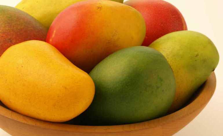 Are Mangoes Fattening Or Good For Health