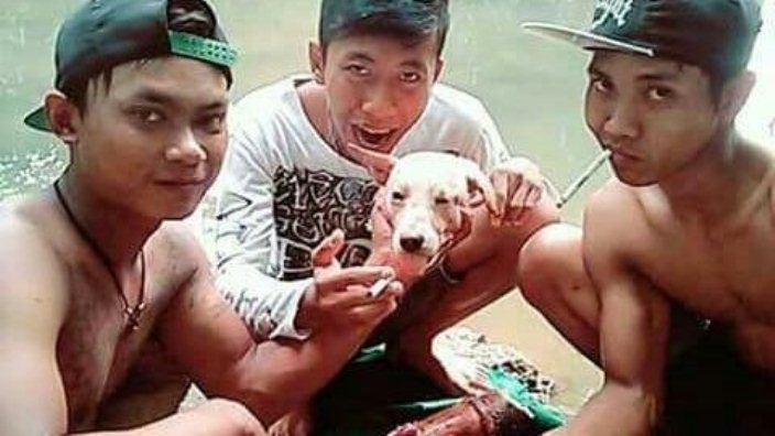 Pemuda Pamer Kepala Anjing di Facebook