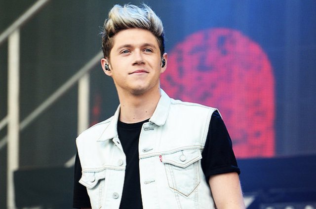 Difoto Diam Diam saat Tidur di Pesawat Niall Horan Tegur Fansnya