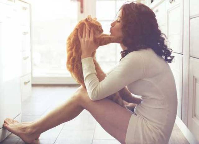 Bahaya Penyakit Serius Akibat Sering Memeluk dan Mencium Kucing