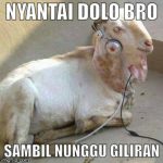 Meme Idul Adha 2016 Lucu