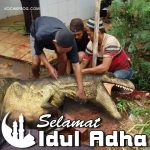 Meme Idul Adha Kurban Dinosaurus