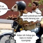 meme kambing korban