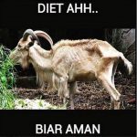 meme kocak hewan qurban