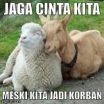 meme lebaran idul adha